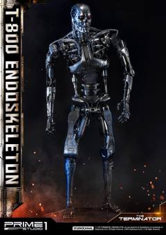 T-800 -资料图