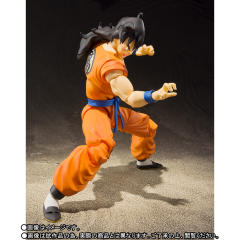SHF 雅木茶-资料图