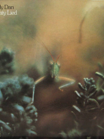 Katy Lied