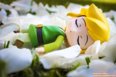 林克 The Wind Waker Ver.-资料图