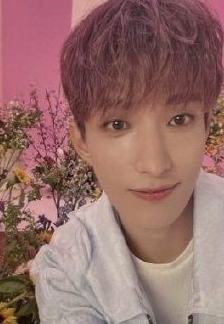 随机生写 硕 ver.A