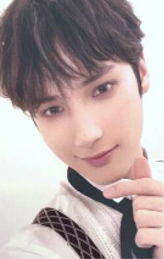 UMS ver
