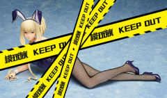 B-style 金刚 Bunny ver.