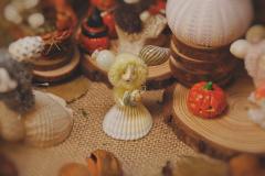 万圣节限定款-园艺师-资料图