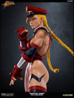 Mixed Media 嘉米·怀特 Shadaloo Cammy-资料图