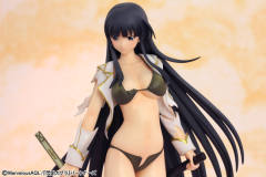 R-Line 斑鸠 Damage ver.-资料图