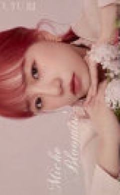 miche bloomin代言卡3 ver.A