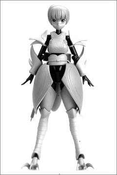 瑄 Full Set MMS Type Ninja-资料图