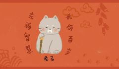 一只猫咪小吉系列-资料图