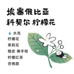 埃塞俄比亚科契尔·柠檬花