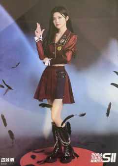 田姝丽 Lover in Mirror巡演海报