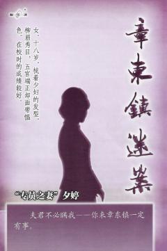 章东镇谜案-资料图