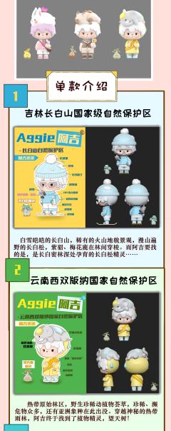 云南西双版纳-资料图