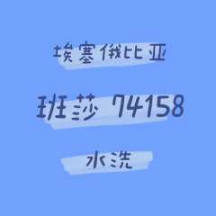 埃塞俄比亚 班莎 74158 水洗