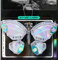 混沌蝴蝶系列-资料图