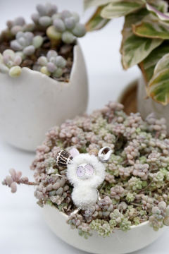 卡塔卡塔-白色-资料图