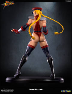 Mixed Media 嘉米·怀特 Shadaloo Cammy-资料图