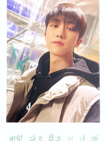 22克拉岛拍立得 八