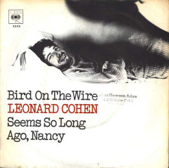 Bird On The Wire