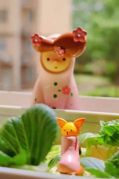 春日花宴-资料图