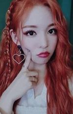 专卡 ver.Purple Back 6