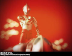 SHF 佐菲-资料图