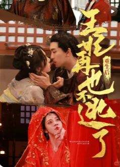 重生后王妃再也不逃了
