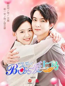 boss爱上鸟