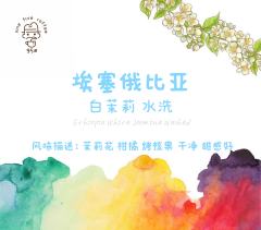 埃塞俄比亚 白茉莉 水洗 2022新产季