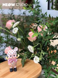 花朵柴胡妹妹隐藏款-资料图