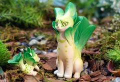 油菜猫&小油菜猫