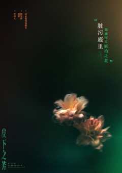 皮下之芳：2046-资料图