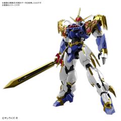 HG Amplified IMGN 龙神丸-资料图