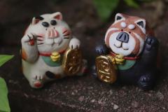 小熊猫-资料图