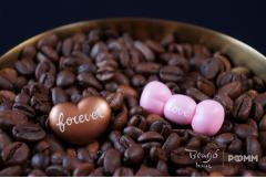 Teddy-棕色-资料图