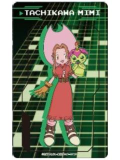 太刀川美美&巴鲁兽1-25周年Village Vanguard透卡
