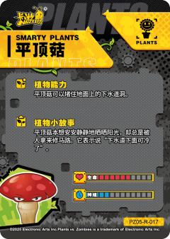 平顶菇-资料图