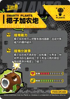 椰子加农炮-资料图