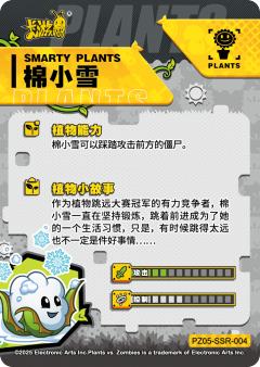 棉小雪-资料图