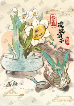凌波仙子