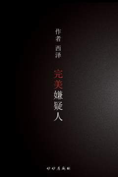 完美嫌疑人