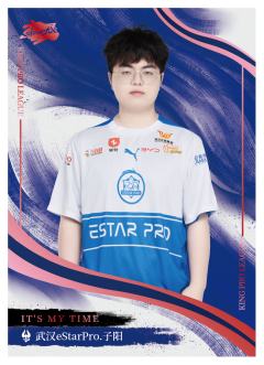 武汉eStarPro.子阳
