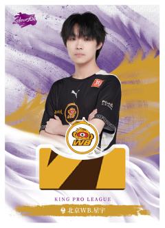 北京WB.星宇