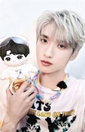 时代少年团 严浩翔 棉花娃娃 小卡 时代少年团棉花娃娃衣服时代少年团严浩翔属性20cm棉花娃娃明星同