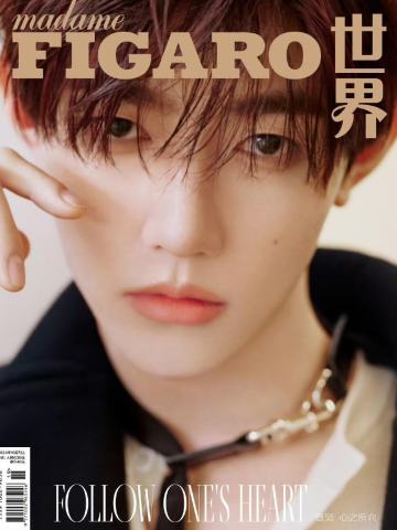 【希少本】美麗島雜誌40週年復刻版（4冊）/美丽岛杂志40周年复刻版（4册） 希少本】美麗島雜誌40週年復刻版（4冊）/美丽岛杂志40周年复刻版