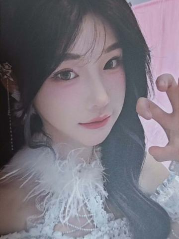 陈真允一 新年主题小卡