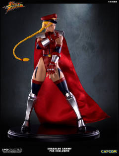 Mixed Media 嘉米·怀特 Shadaloo Cammy-资料图