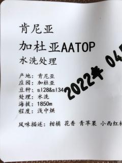 肯尼亚 加杜亚AATOP