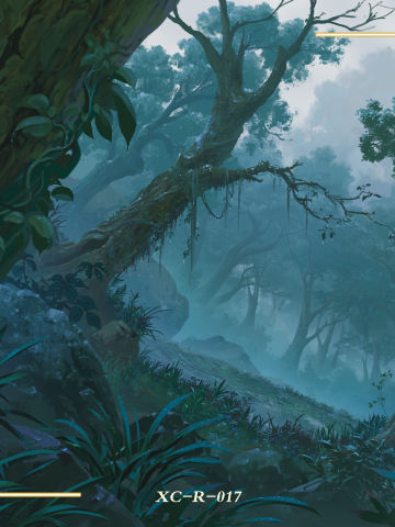 三千界影卡R-017