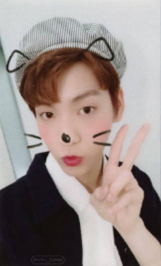 cat&dog ver.B